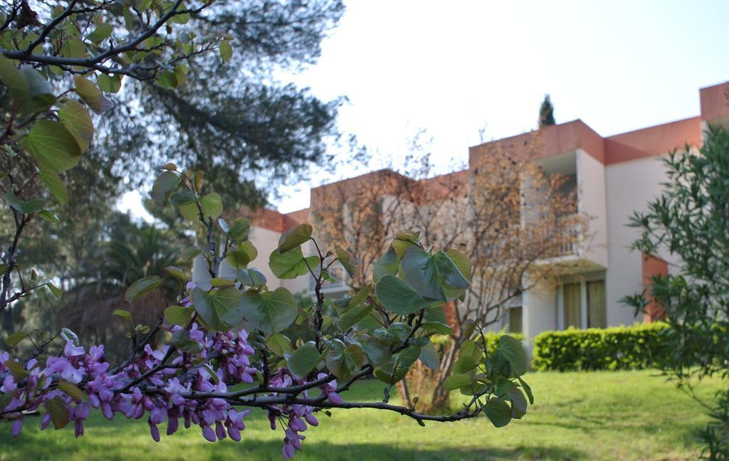 Le Domaine Des Oliviers Leilighet Saint-Cyr-sur-Mer Eksteriør bilde
